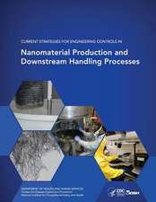 Current Strategies for Engineering Controls in Nanomaterial Production and Downstream Handling Processes