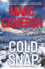 Cold Snap: An Action Packed Novel of Suspense