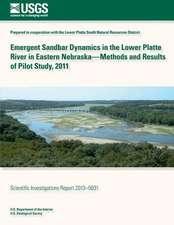 Emergent Sandbar Dynamics in the Lower Platte River in Eastern Nebraska? Methods and Results of Pilot Study, 2011