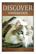 Siberian Cats - Discover