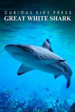 Great White Shark - Curious Kids Press