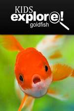 Gold Fish - Kids Explore