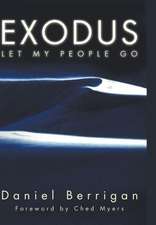 Exodus: U2 in Theological Perspective