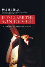 If You Are the Son of God