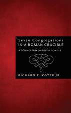 Seven Congregations in a Roman Crucible