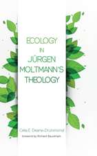 Ecology in Jurgen Moltmann's Theology