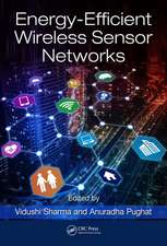 Energy-Efficient Wireless Sensor Networks