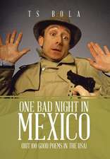 One Bad Night in Mexico