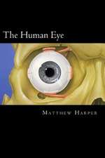 The Human Eye