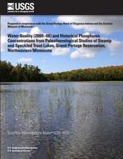 Water Quality (2000?08) and Historical Phosphorus Concentrations from Paleolimnological Studies of Swamp and Speckled Trout Lakes, Grand Portage Reser