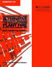 Compensatory and Alternative Regulatory Measures for Nuclear Power Plant Fire Protection (Carmen-Fire)