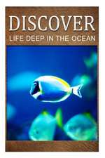 Life Deep in Ocean - Discover