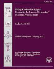 Safety Evaluation Report Related to the License Renewal of Palisades Nuclear Plant