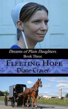 Fleeting Hope (Dreams of Plain Daughters, Book Three)