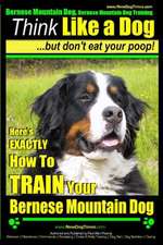 Bernese Mountain Dog, Bernese Mountain Dog Training AAA Akc - Think Like a Dog But Don't Eat Your Poop!