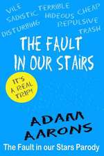 The Fault in Our Stairs