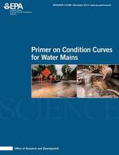 Primer on Condition Curves for Water Mains