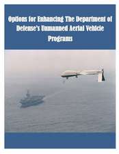 Options for Enhancing the Department of Defense's Unmanned Aerial Vehicle Programs