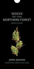 Sedges of the Northern Forest – Quick Guide