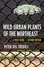 Wild Urban Plants of the Northeast – A Field Guide