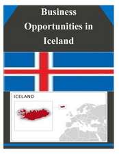 Business Opportunities in Iceland