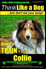 Collie, Collie Training AAA Akc - Think Like a Dog But Don't Eat Your Poop! - Collie Breed Expert Training