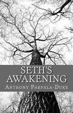 Seth's Awakening