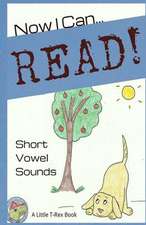 Now I Can Read! Short Vowel Sounds