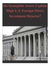 Do Intangible Assets Explain High U.S. Foreign Direct Investment Returns?