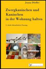 Zwergkaninchen Und Kaninchen in Der Wohnung Halten