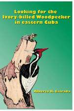 Looking for the Ivory-Billed-Woodpecker in Eastern Cuba