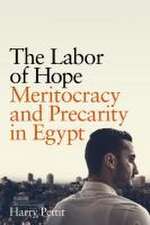 The Labor of Hope – Meritocracy and Precarity in Egypt