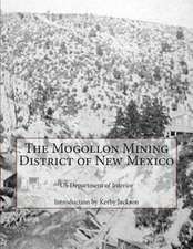 The Mogollon Mining District of New Mexico