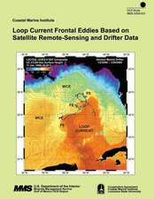 Loop Current Frontal Eddies Based on Satellite Remote-Sensing and Drifter Data