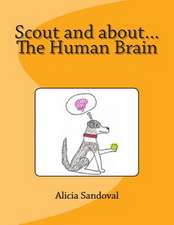 Scout and About...the Human Brain