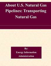 About U.S. Natural Gas Pipelines