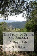 The Story of Stripe and Princess