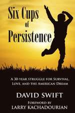 Six Cups of Persistence