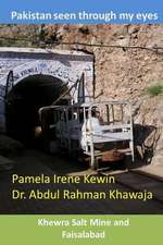 Pakistan Seen Through My Eyes, Khewra Salt Mine and Faisalabad