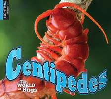 Centipedes