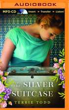 The Silver Suitcase