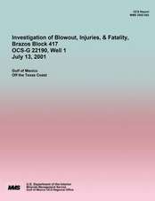 Investigation of Blowout, Injuries, & Fatality, Brazos Block 417 Ocs-G 22190 July 13, 2001