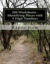 200 Worksheets - Identifying Places with 5 Digit Numbers