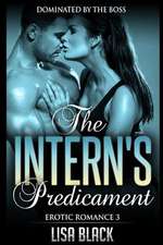 Erotic Romance 3 - The Intern's Predicament