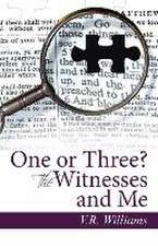 One or Three? the Witnesses and Me: 20 Tips on How the Republicans Can Shed Their Anger, Reclaim Their Respectability, and Win Back the White House