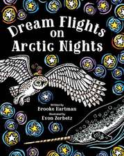 Dream Flights on Arctic Nights