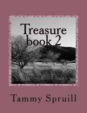 Treasure Book 2