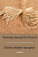 Gleanings Among the Sheaves