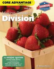 Making Sense of Division