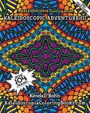 Kaleidoscopic Adventure III